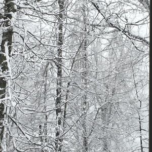 Meet your Posher, Caryn